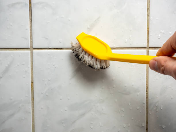 Best Mold Testing and Inspection Services in Woodcreek, TX