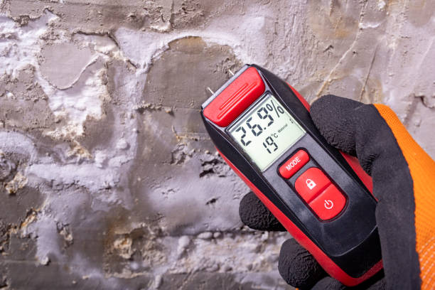 Best Post-Flood Mold Remediation in Woodcreek, TX